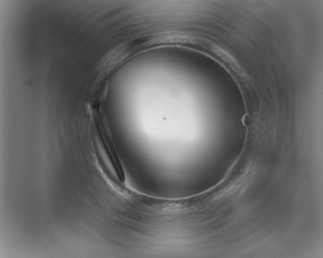 X0000073830841200608101201