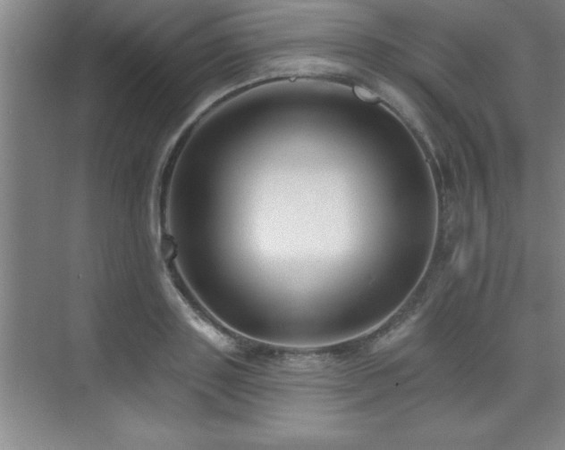 X0000073830843200608101201