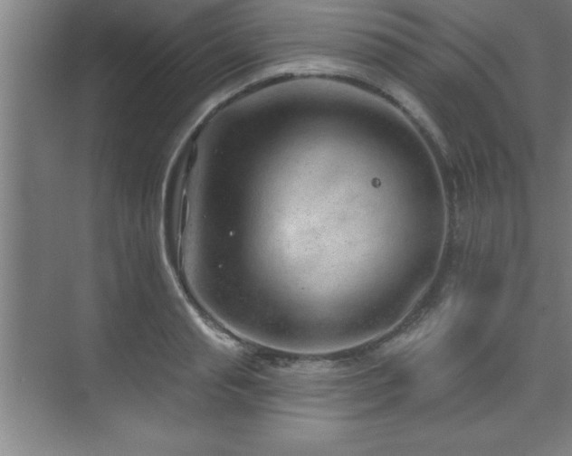 X0000073830845200608101201