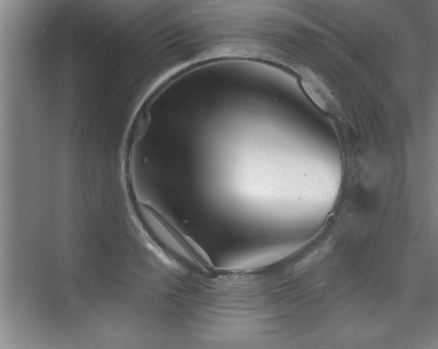 X0000073830846200608101201