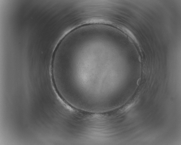 X0000073830847200608101201