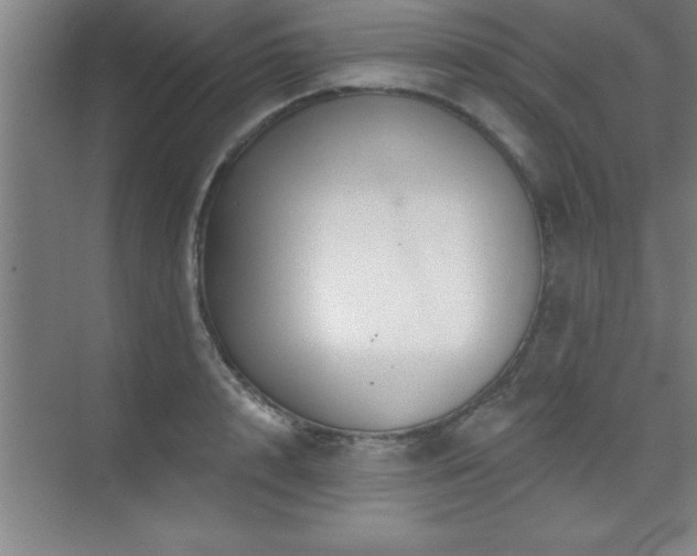 X0000073830848200608101201