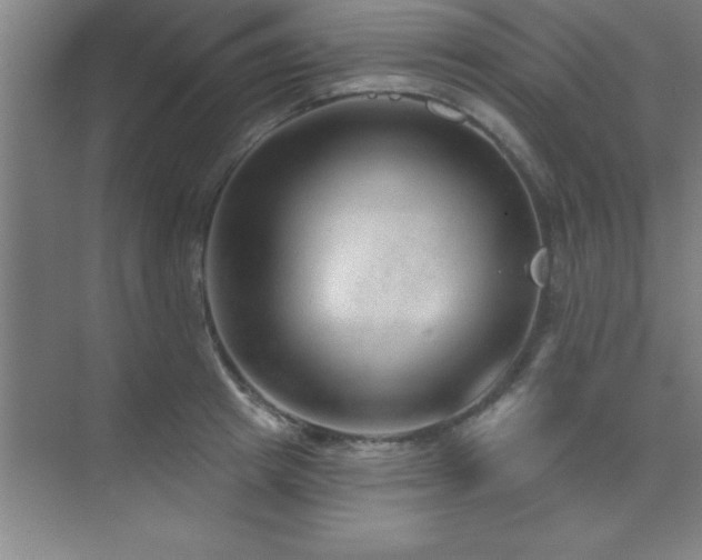 X0000073830849200608101201