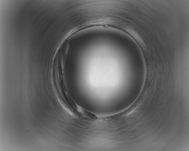 X0000073830850200608101201