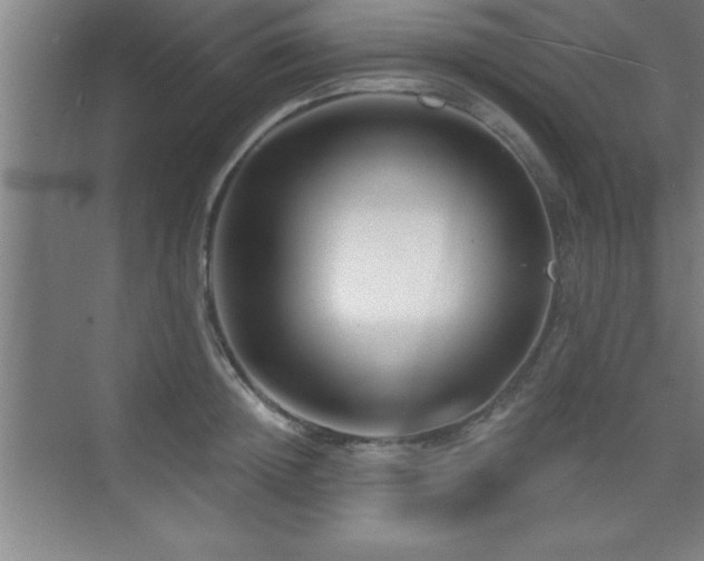 X0000073830852200608101201