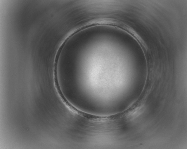 X0000073830853200608101201