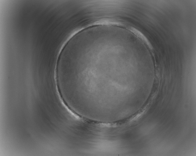 X0000073830855200608101201