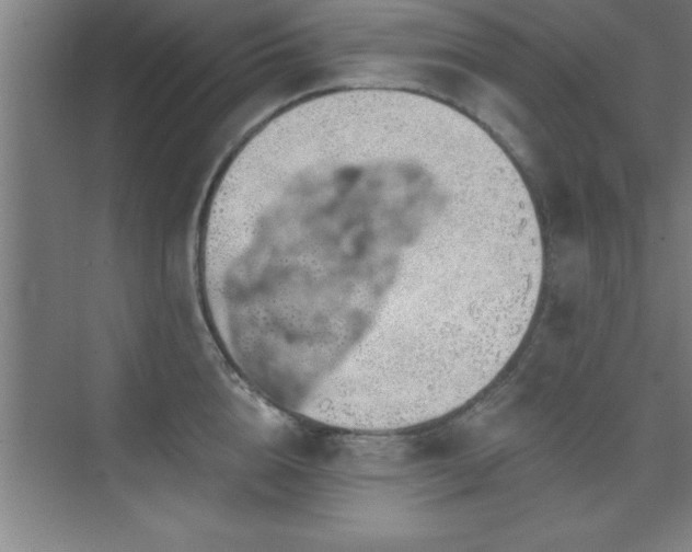 X0000073830856200608101201