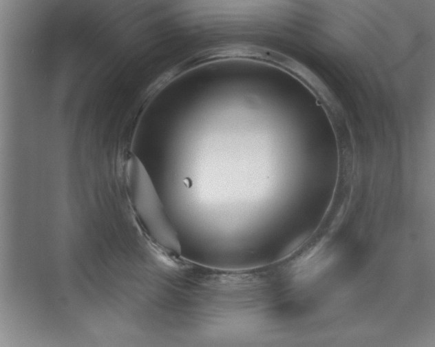 X0000073830857200608101201