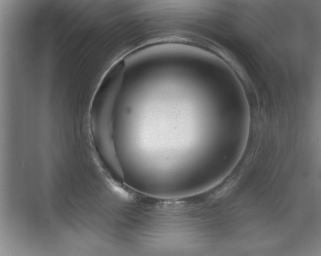 X0000073830858200608101201