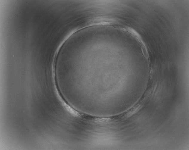 X0000073830859200608101201