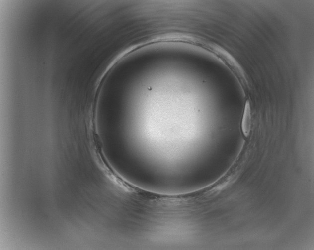 X0000073830860200608101201