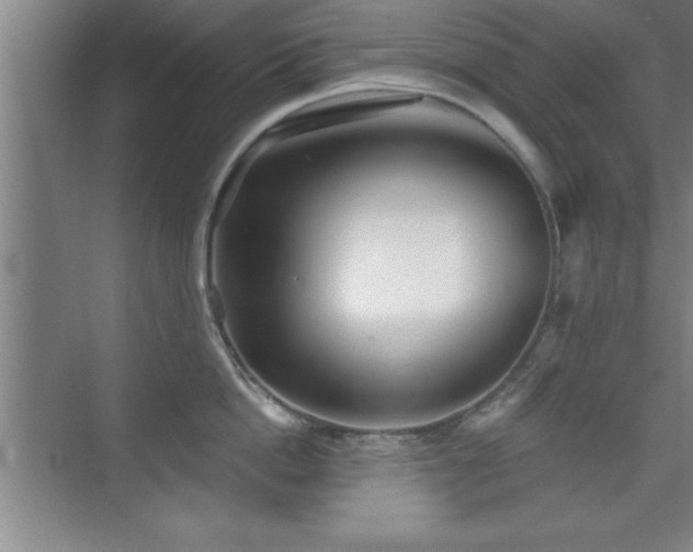 X0000073830862200608101202