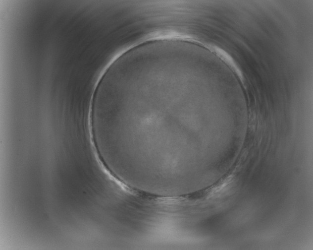 X0000073830863200608101202