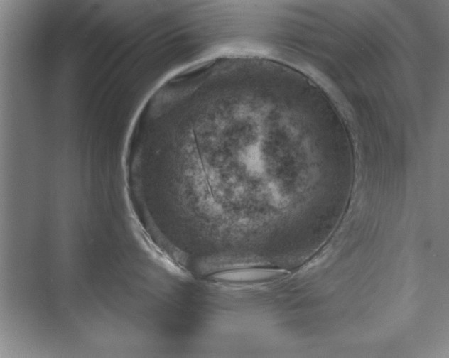 X0000073830864200608101202