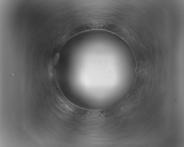 X0000073830866200608101201