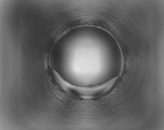 X0000073830868200608101201