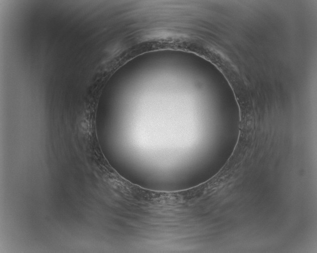 X0000073830869200608101201