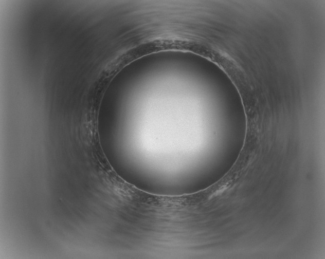 X0000073830870200608101201