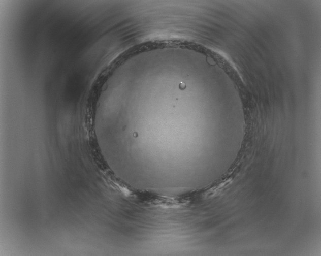 X0000073830871200608101201