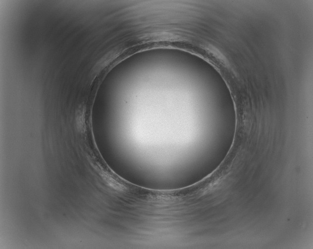 X0000073830873200608101201