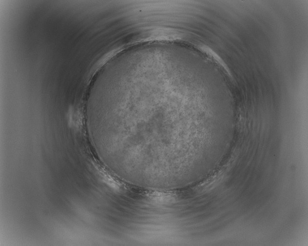 X0000073830874200608101201