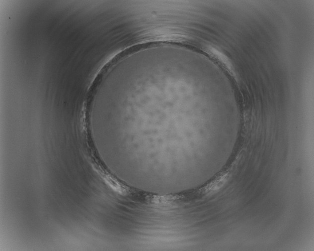 X0000073830875200608101201