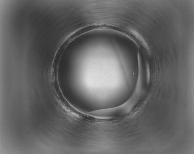 X0000073830876200608101201