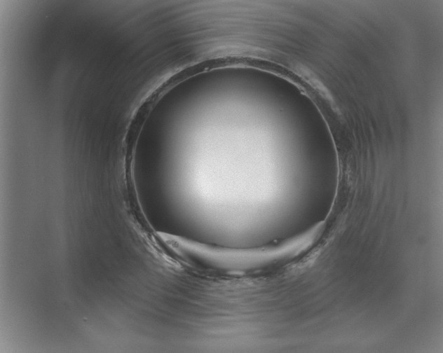 X0000073830877200608101201