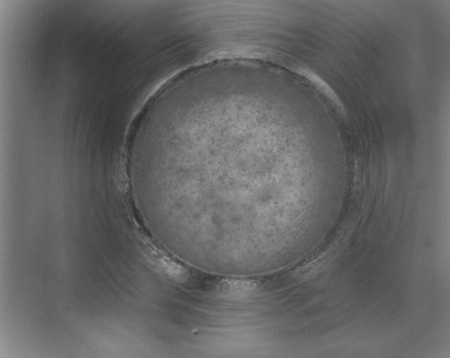 X0000073830878200608101201