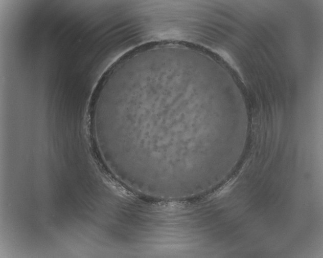 X0000073830879200608101201