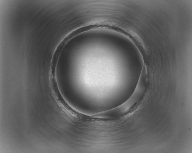 X0000073830880200608101200