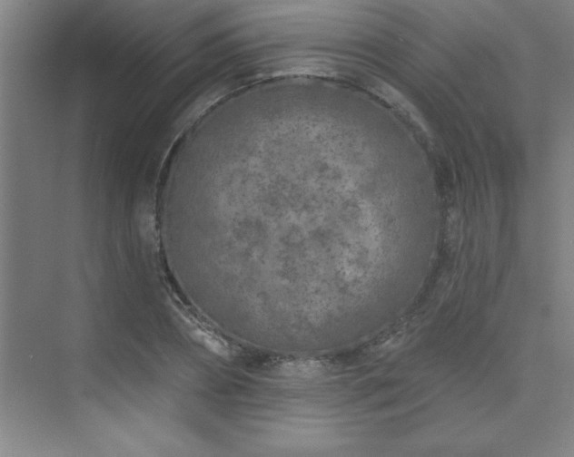 X0000073830882200608101200