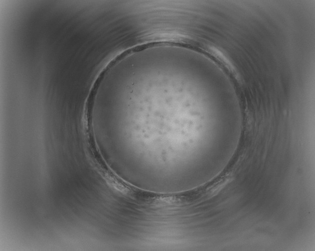 X0000073830883200608101200