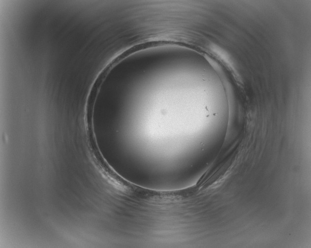 X0000073830884200608101200