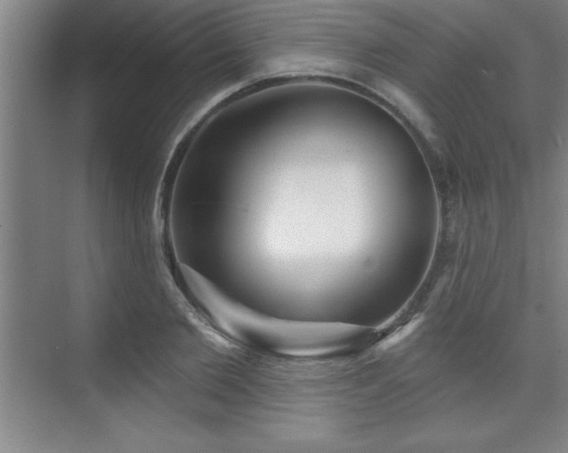 X0000073830885200608101200