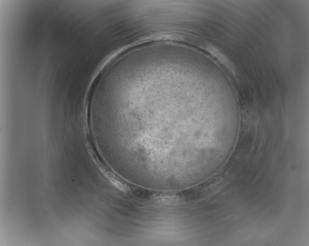 X0000073830886200608101200