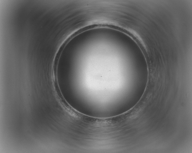 X0000073830887200608101200