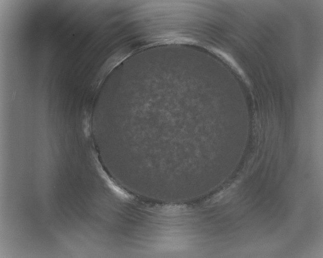 X0000073830889200608101200