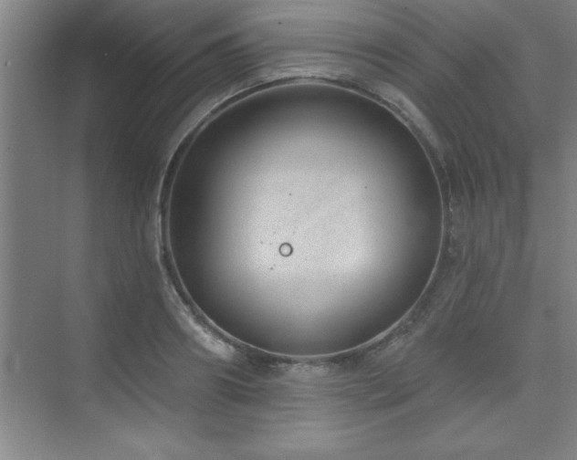 X0000073830890200608101200