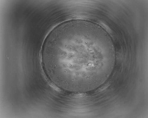 X0000073830891200608101200