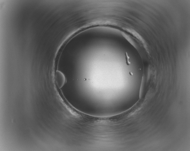 X0000073830894200608101200