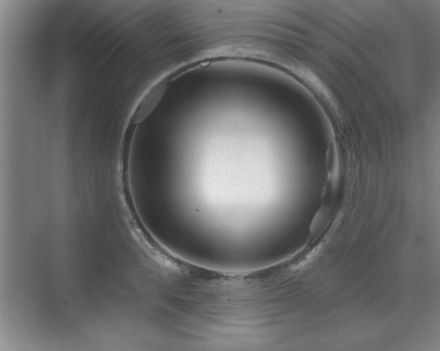 X0000073830896200608101200