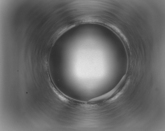 X0000073830897200608101200