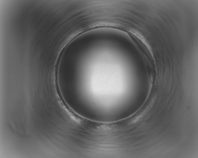 X0000073830898200608101200