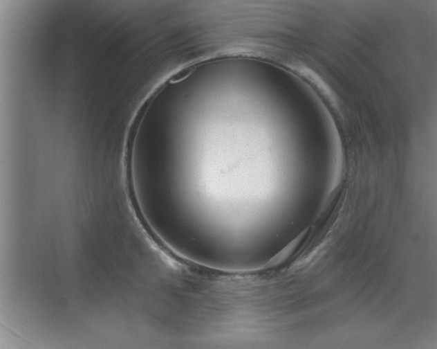 X0000073830902200608101200