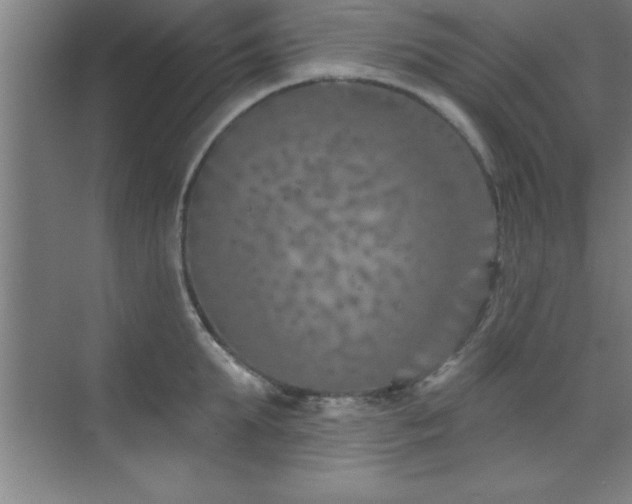 X0000073830903200608101200