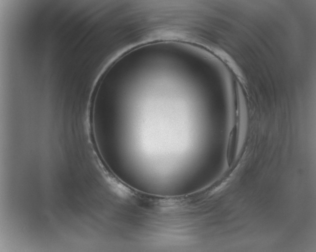 X0000073830904200608101200