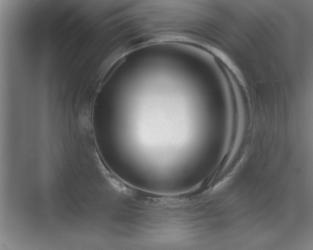 X0000073830905200608101200