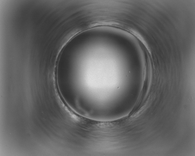 X0000073830906200608101200